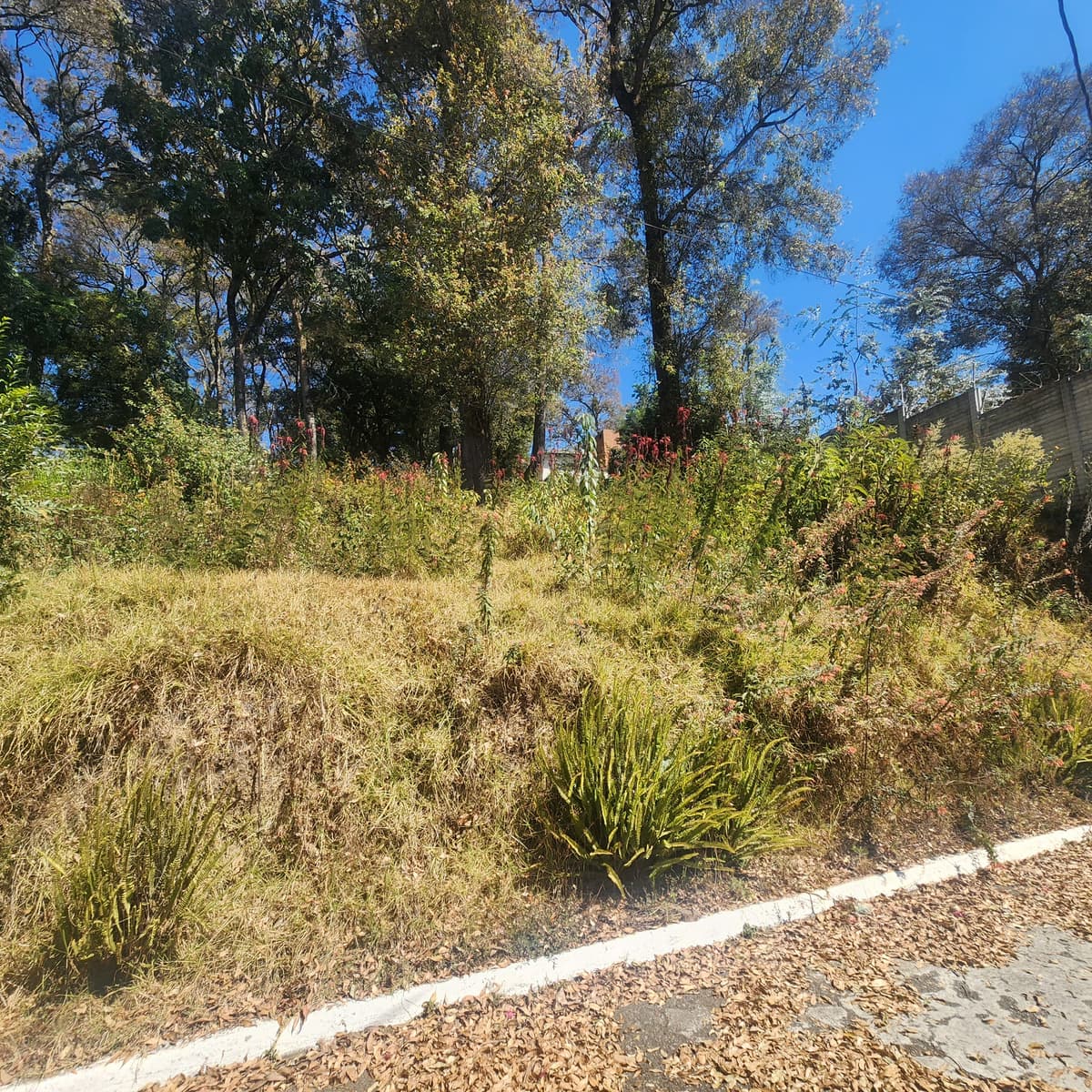 Vendo Terreno dentro de Residencial en Bosque Vivo - foto 1