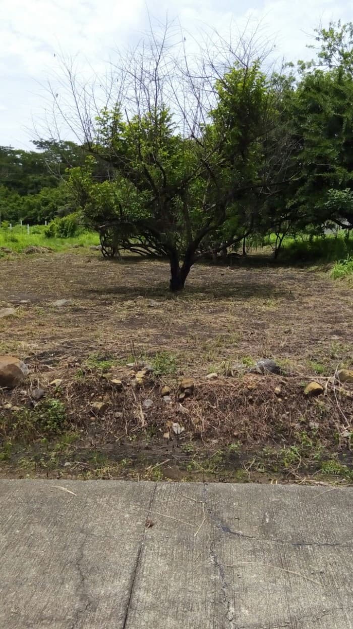 Vendo Terreno Residencial en Torremolinos  - foto 1
