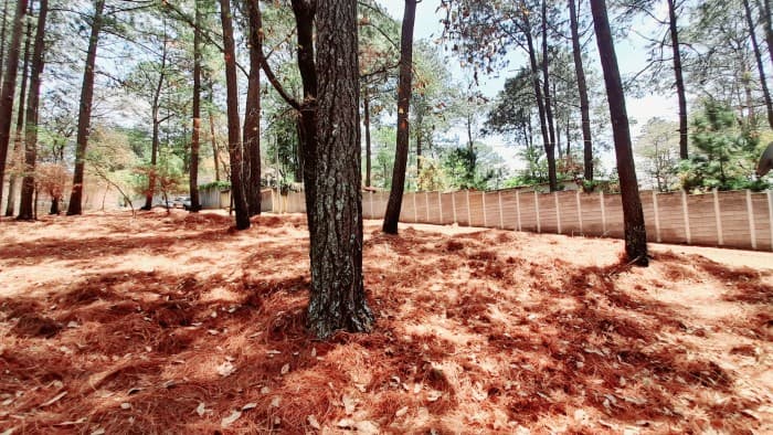 Terreno en Venta en Santo Domingo Xenacoj Sacatepequez - foto 1