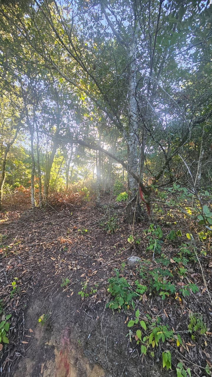 Terreno Residencial en Venta Granjas Pinares del Tejar - foto 1