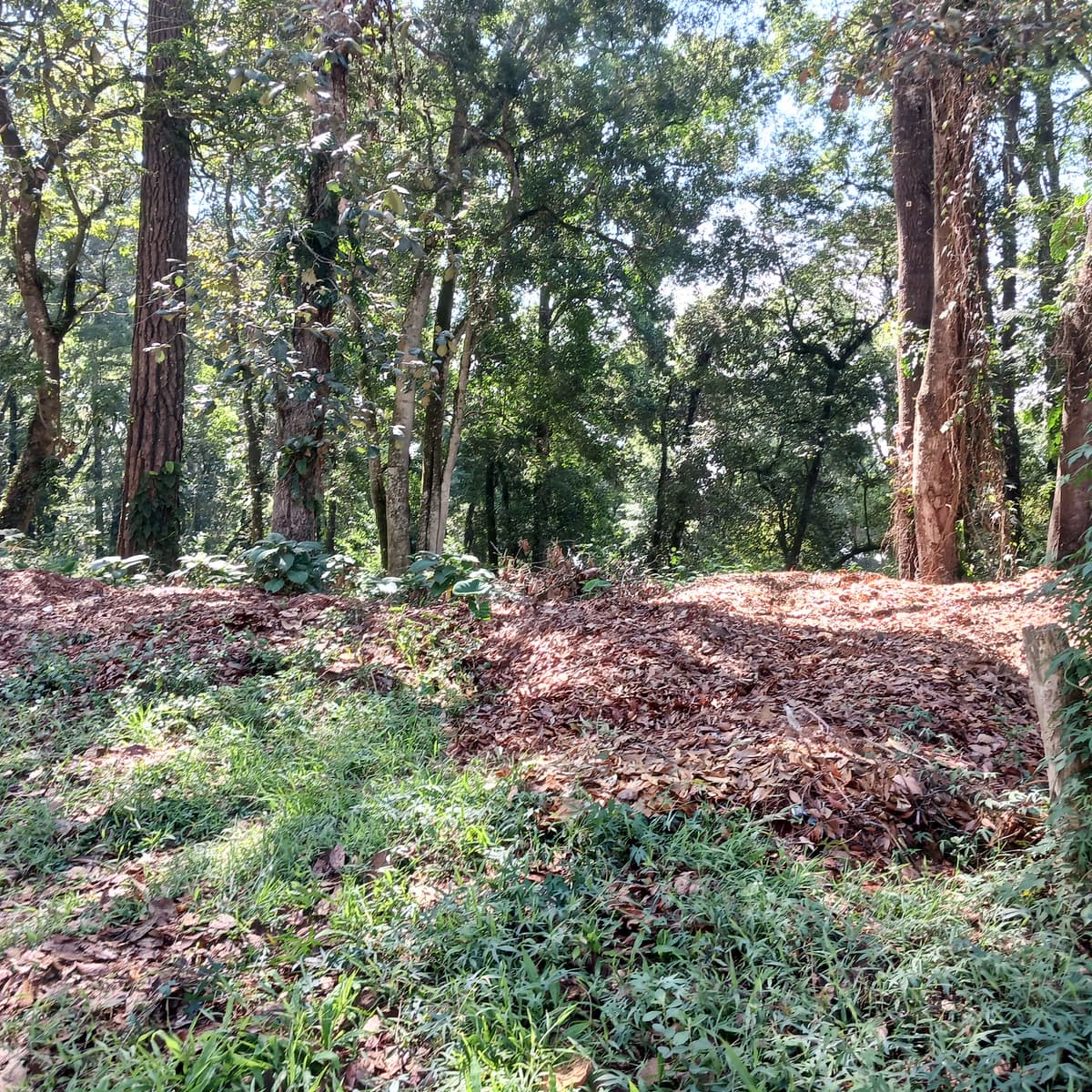 TERRENO EN VENTA EN EL CERRO ALUX - foto 1