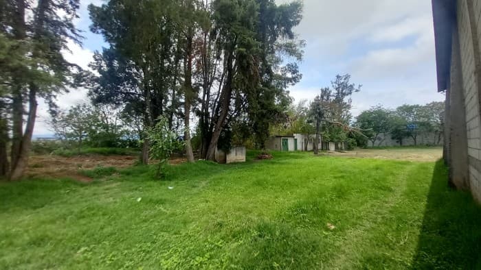 TERRENO EN VENTA Y EN RENTA EN VILLA NUEVA - foto 1