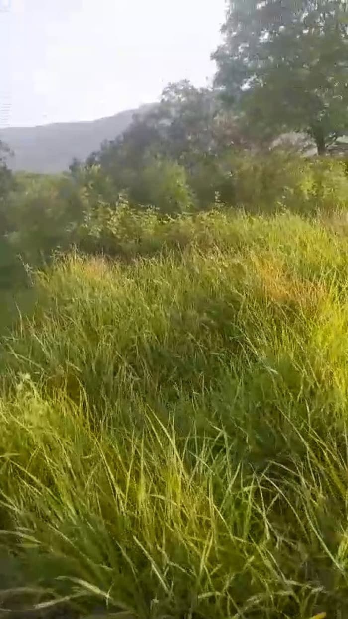 VENTA DE FINCA EN ORATORIO SANTA ROSA - foto 1