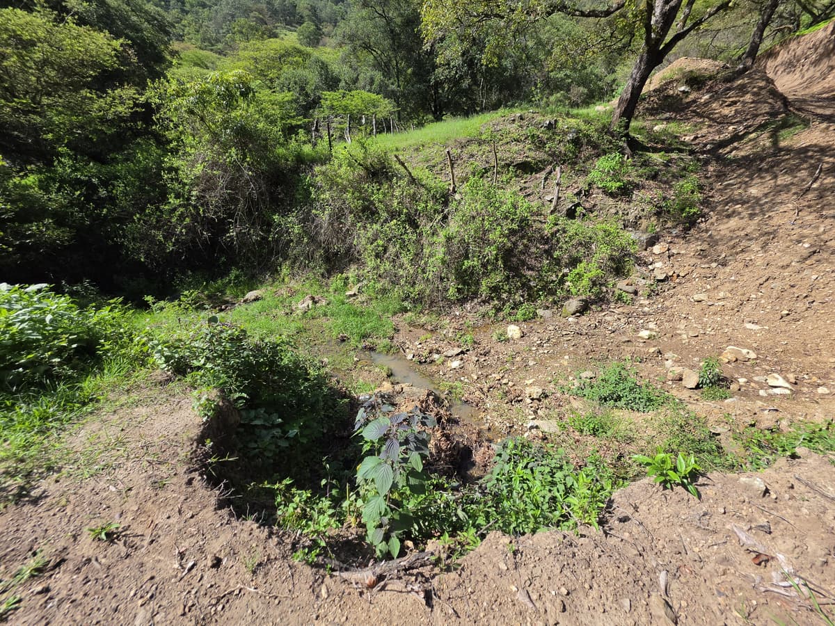 FINCA DE 43.7 MANZANAS EN VENTA EN HUEHUETENANGO - foto 1