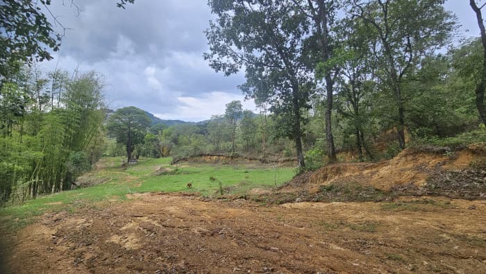 RENTO TERRENO 12 MANZ. ALDEA EL CHAN CHINAUTLA, GUATE. - foto 1