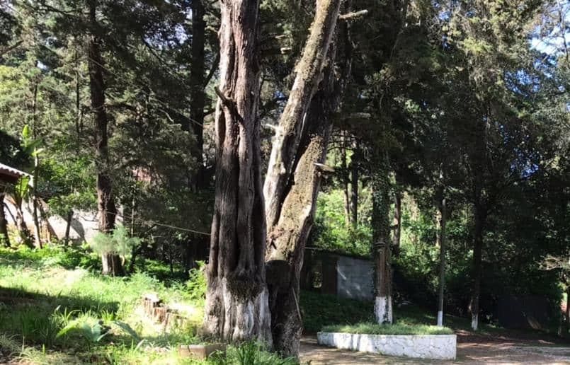 TERRENO EN VENTA EN SANTA LUCIA MILPAS ALTAS - foto 1