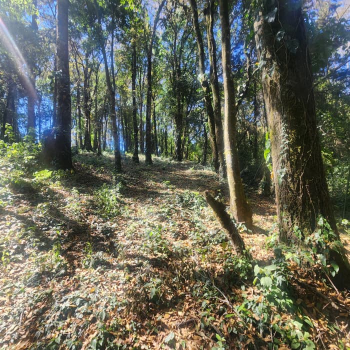 Terreno en venta en San Lucas Sacatepéquez - foto 1