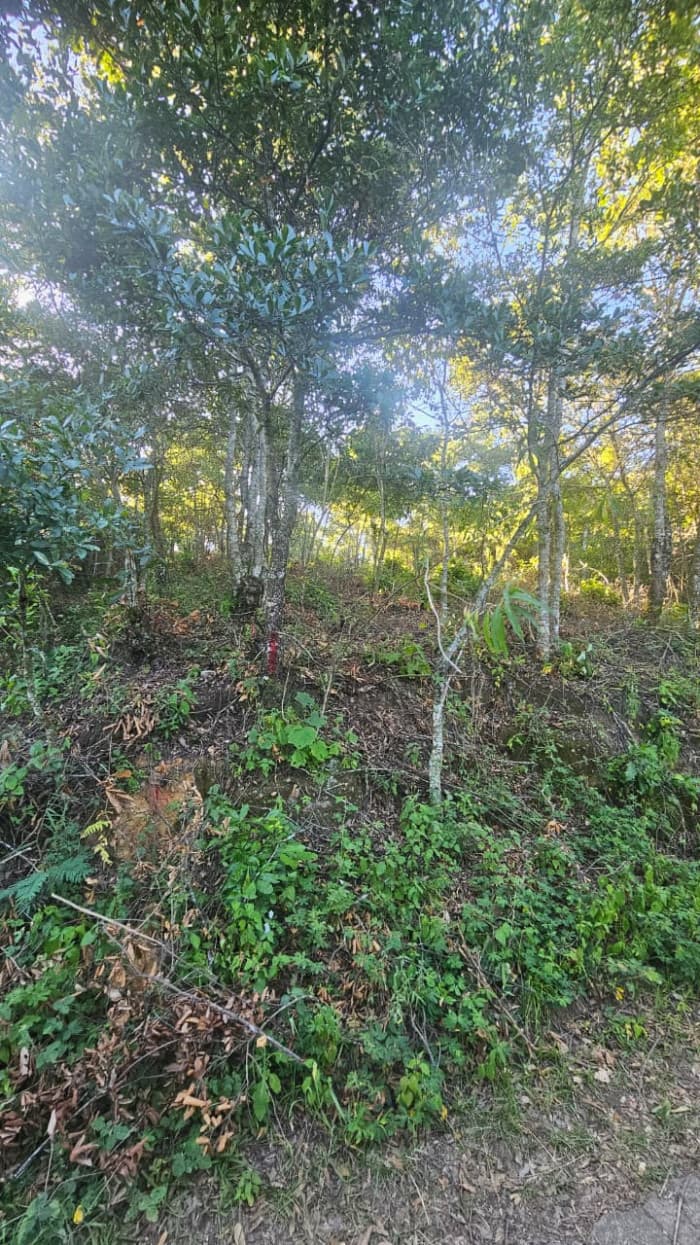 Terreno Residencial en Venta Granjas Pinares del Tejar - foto 4