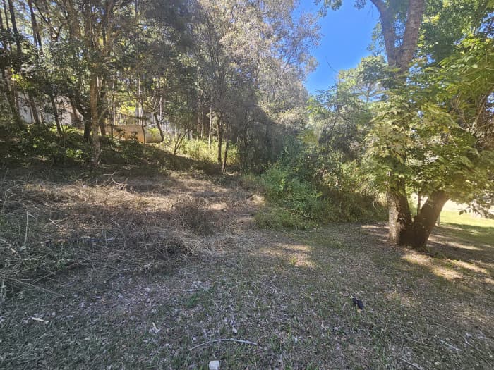 Vendo Terreno Carretera a San Raymundo - foto 3