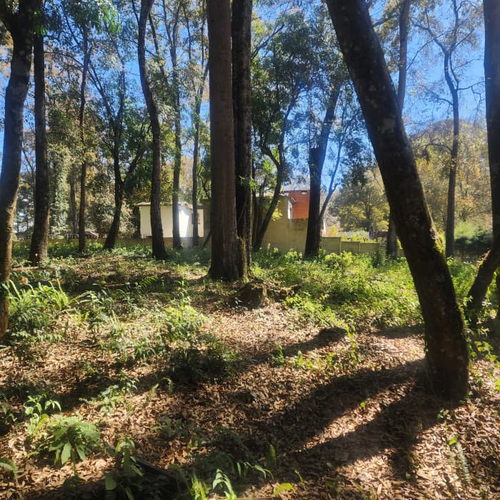 Vendo Terreno dentro de Residencial en Bosque Vivo - foto 4