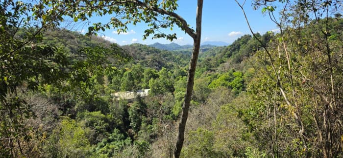 Finca en venta en Fraijanes - foto 17