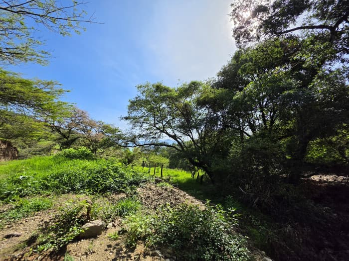FINCA DE 43.7 MANZANAS EN VENTA EN HUEHUETENANGO - foto 4