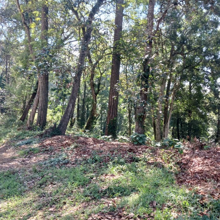 TERRENO EN VENTA EN EL CERRO ALUX - foto 2