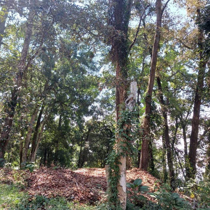 TERRENO EN VENTA EN EL CERRO ALUX - foto 3