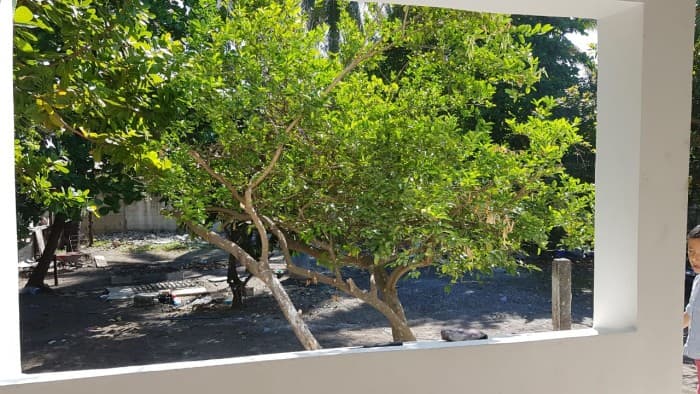 Local con Amplio Terreno para Parqueo en Renta Iztapa - foto 3