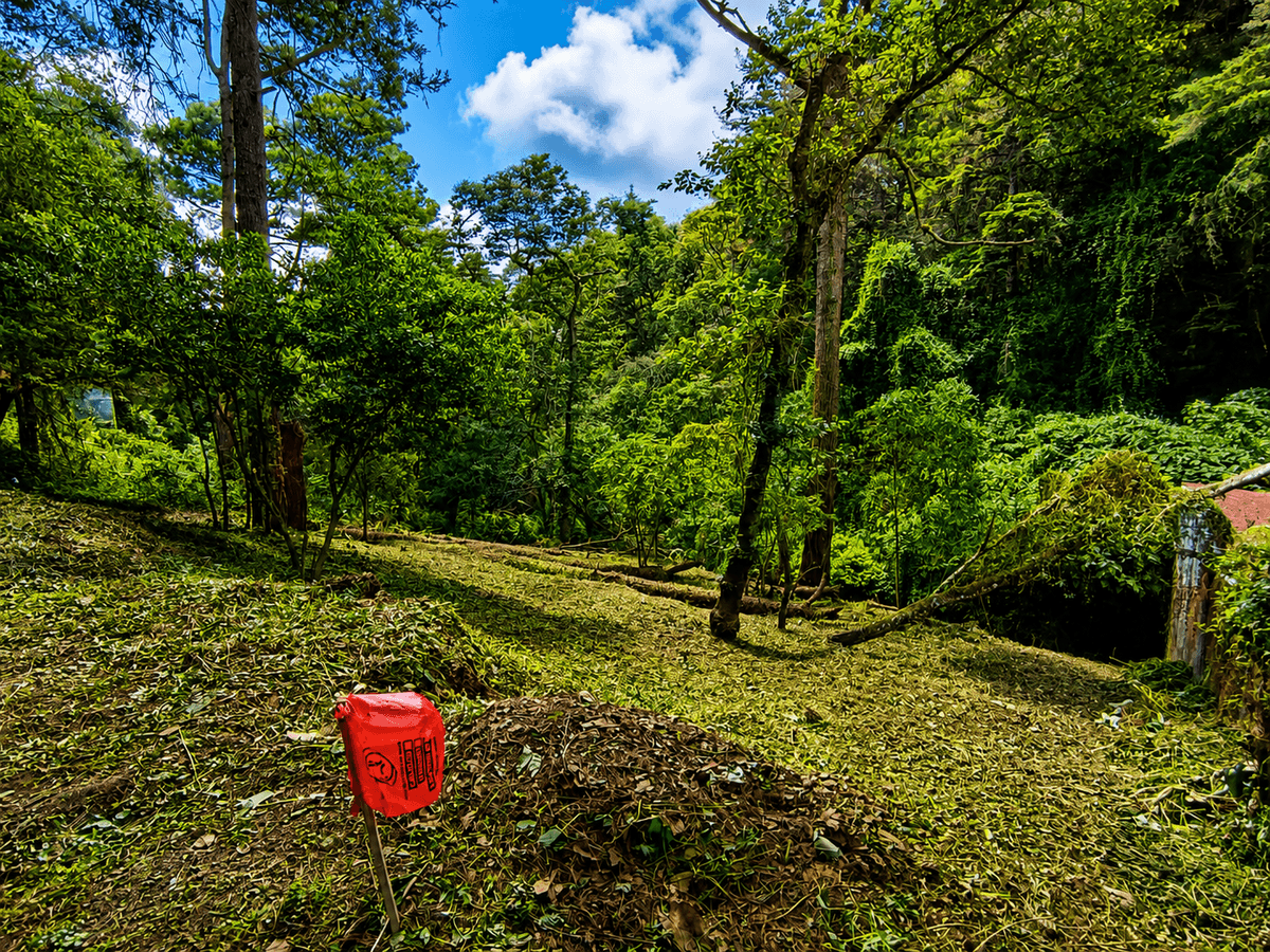 Terreno en venta en Santiago Sacatepequez - foto 2