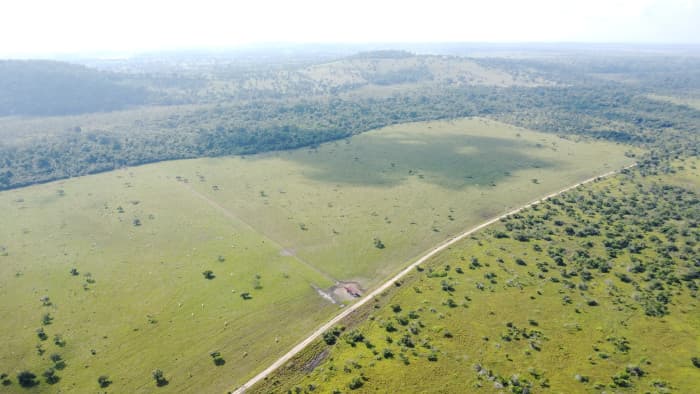 Finca de 4,876 manzanas en Venta en Petén - foto 3