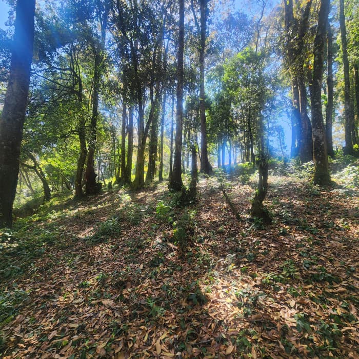 Terreno en venta en San Lucas Sacatepéquez - foto 3