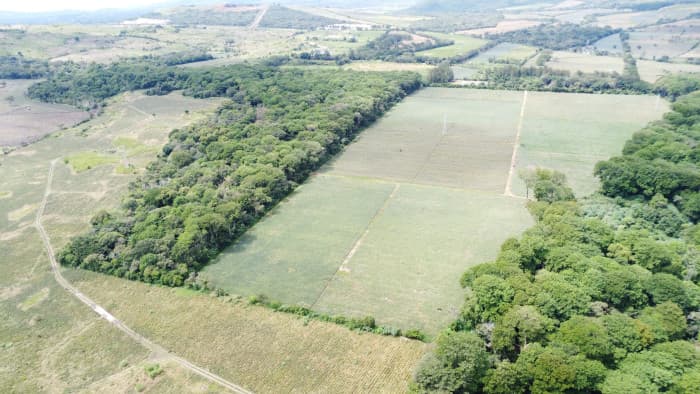 Finca de 17 Manzanas Planas en Venta en CAES Jocotillo - foto 4