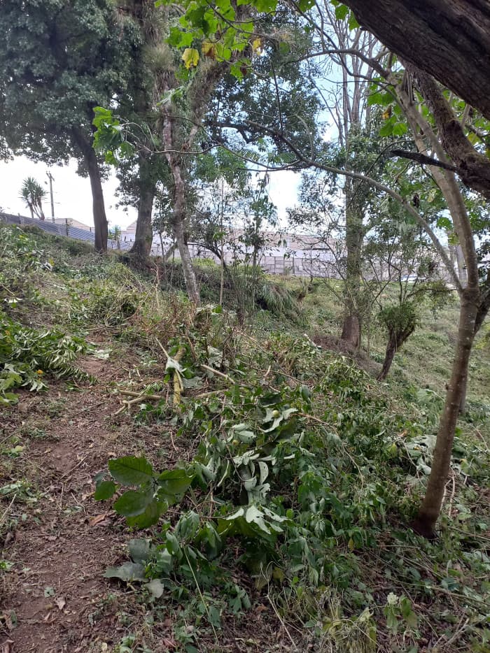 Terreno en Venta en Cumbres de San Nicolas CAES - foto 3