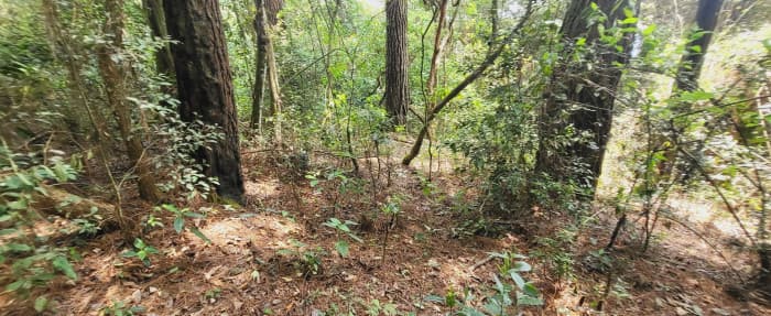 Terreno Residencial en Venta en Zona 9 Mixco Guatemala - foto 3