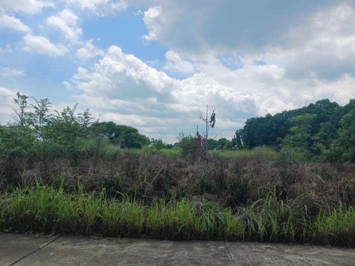 Terreno Vacacional en venta en Quinta la Ponderosa - foto 2