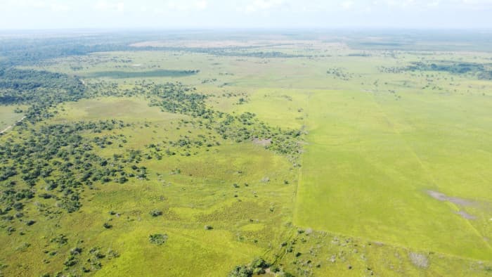 Finca de 4,876 manzanas en Venta en Petén - foto 4