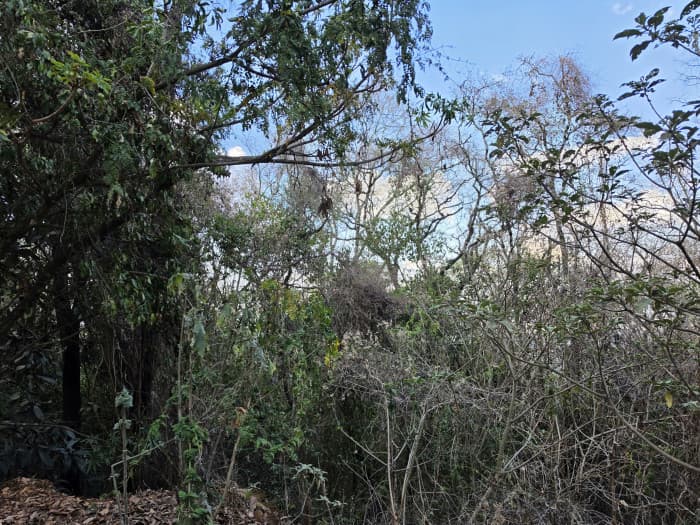 TERRENO RESIDENCIAL EN VENTA EN ZONA 7 MIXCO EL ENCINAL - foto 3