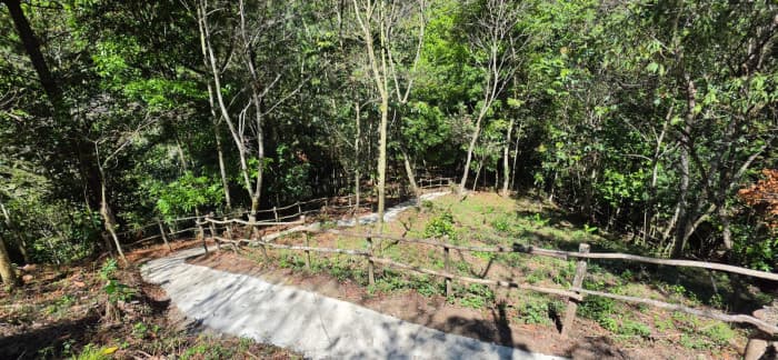 Finca en venta en Fraijanes - foto 14