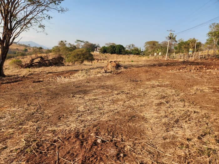 Terreno Residencial en venta en Jutiapa - foto 4