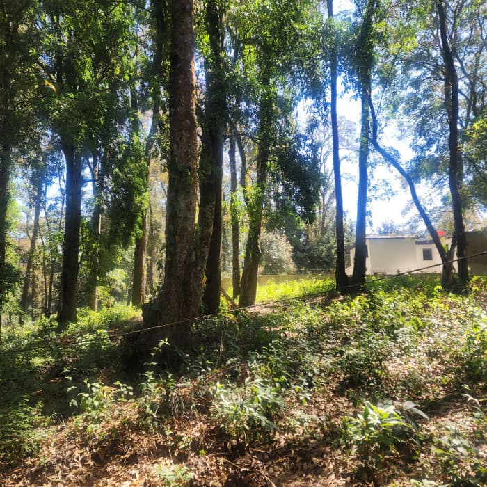 Terreno en Venta en Mixco, Bosque Vivo - foto 3