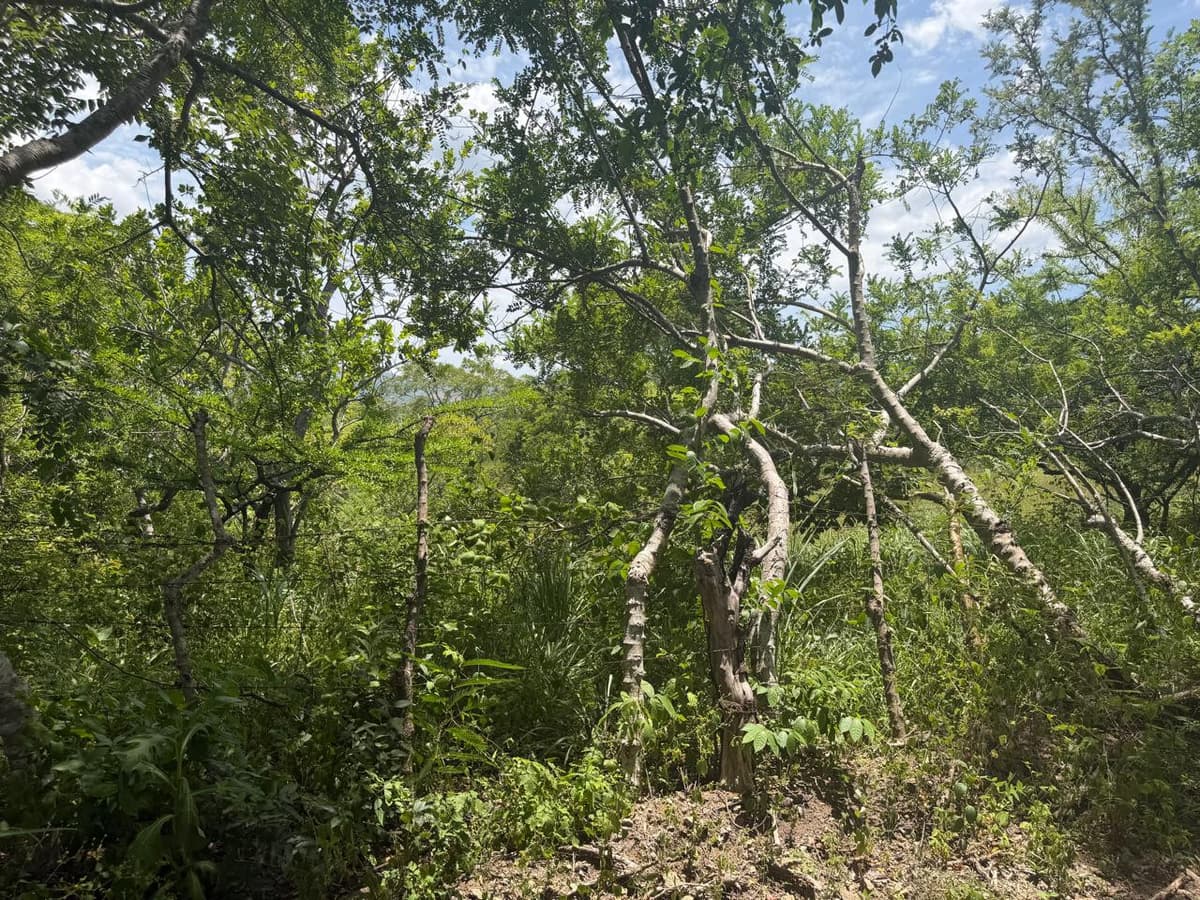 VENTA DE FINCA EN ORATORIO SANTA ROSA - foto 3