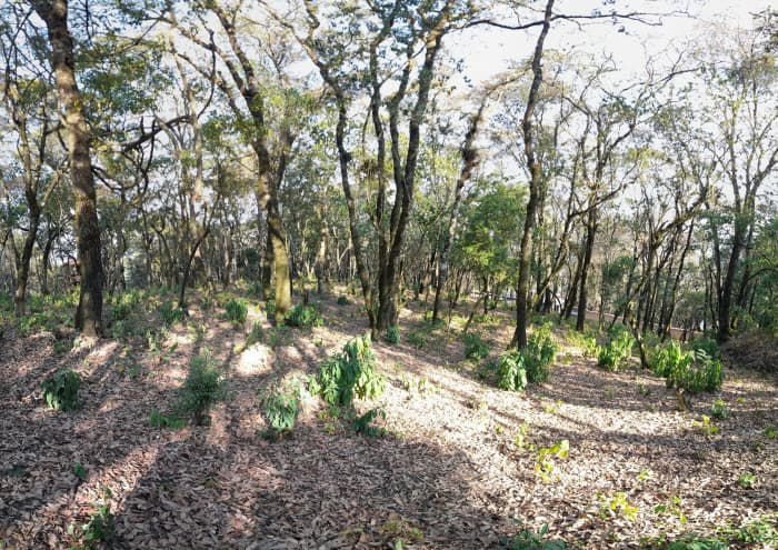 Terreno en Venta en El Encinal Zona 7 Mixco - foto 2