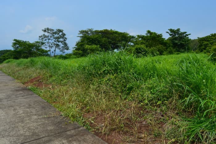 Terreno Industrial en venta Escuintla  - foto 3