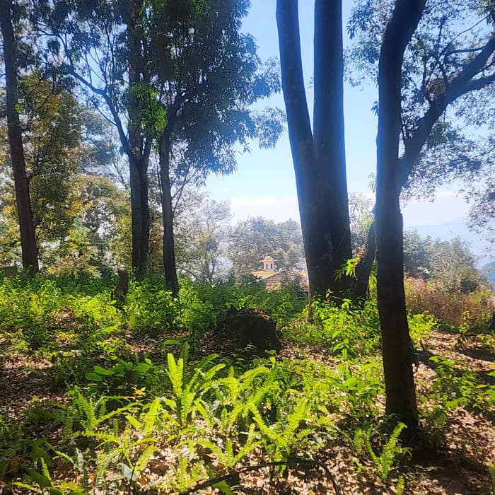 Vendo Terreno dentro de Residencial en Bosque Vivo - foto 2