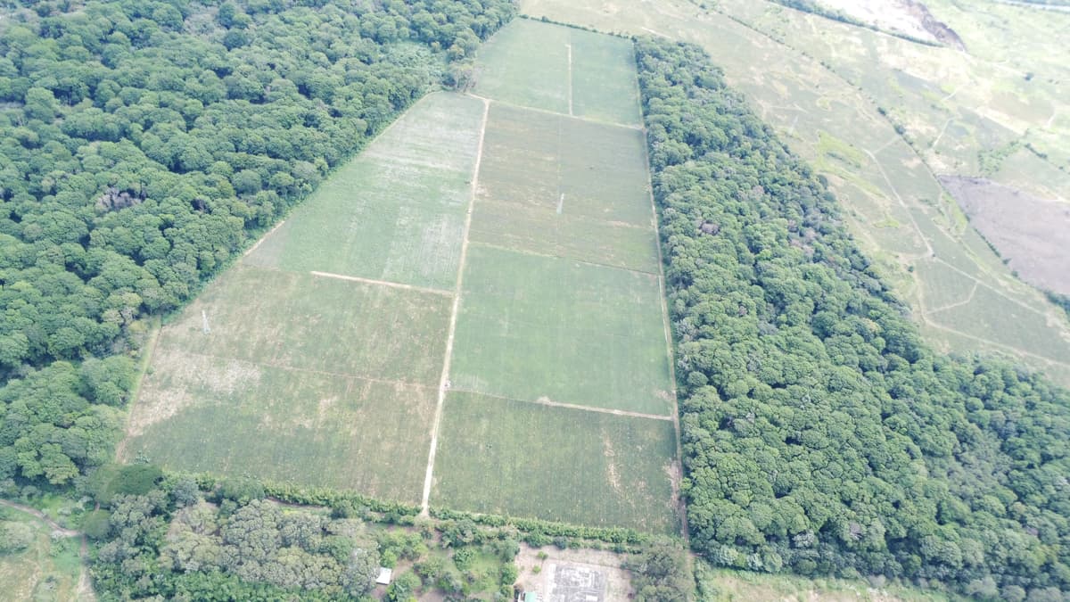 Finca de 17 Manzanas Planas en Venta en CAES Jocotillo - foto 2