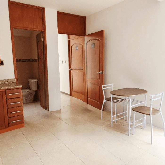Apartamento en Renta amueblado tipo Studio La Montaña - foto 2