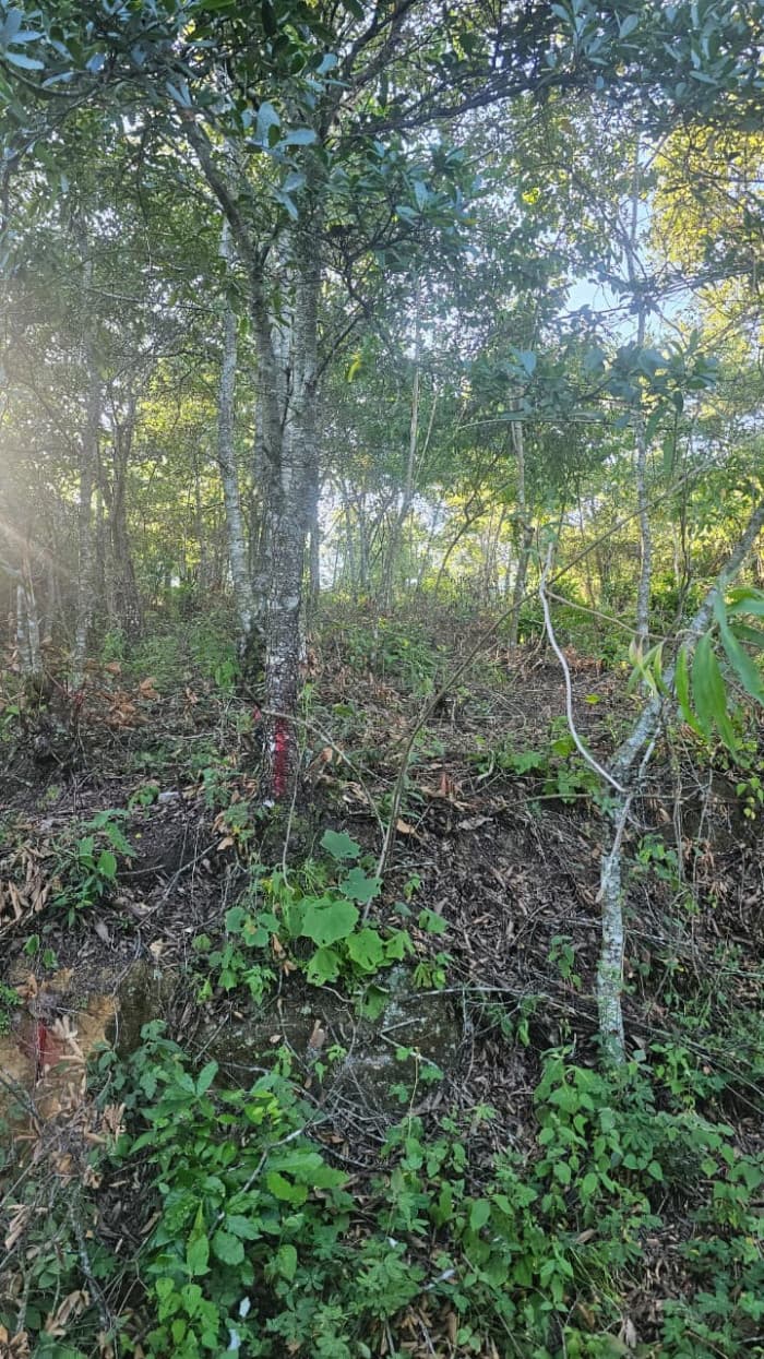 Terreno Residencial en Venta Granjas Pinares del Tejar - foto 4