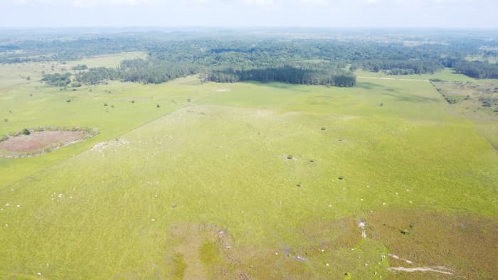 Finca de 4,876 manzanas en Venta en Petén - foto 2