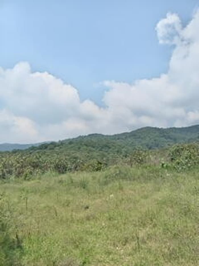 TERRENO RUTA A SAN JUAN SACATEQUEZ KM 18.5 EL NARANJITO - foto 3