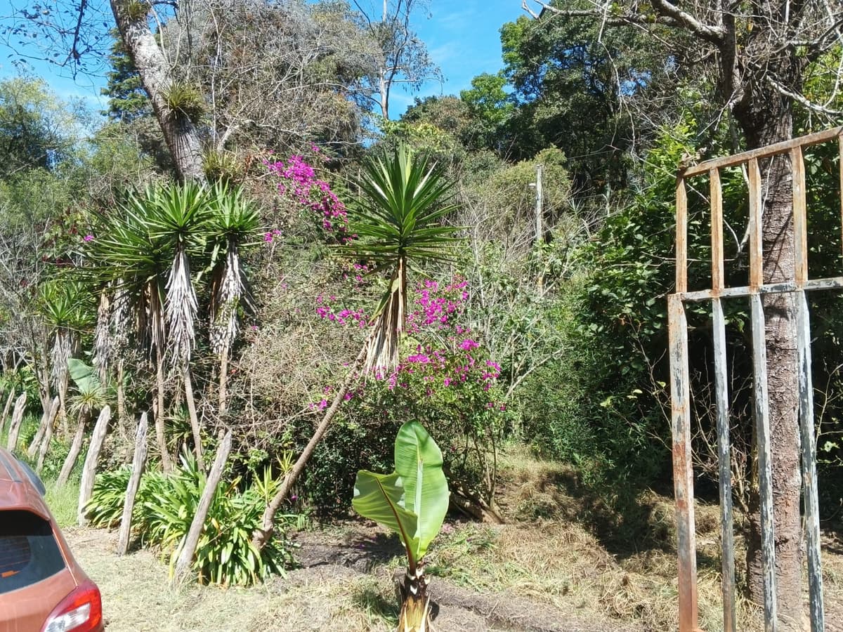 EN VENTA FINCA 3 MANZANAS EN SAN PEDRO SACATEPEQUEZ - foto 3