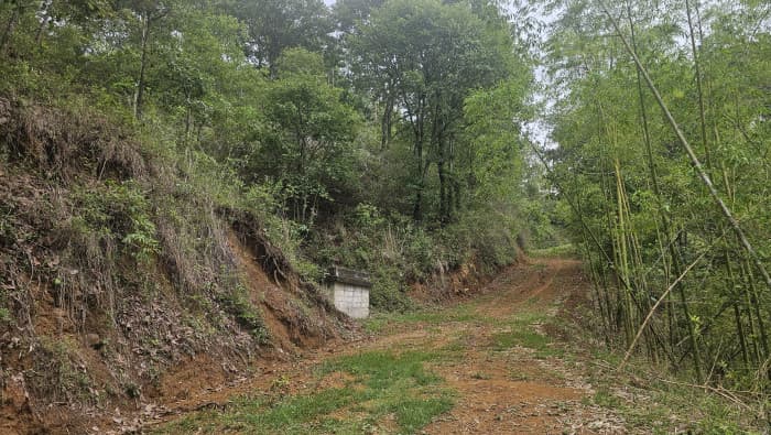 RENTO TERRENO 12 MANZ. ALDEA EL CHAN CHINAUTLA, GUATE. - foto 3