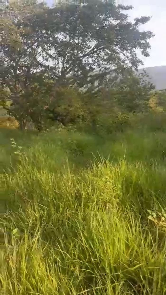 VENTA DE FINCA EN ORATORIO SANTA ROSA - foto 3