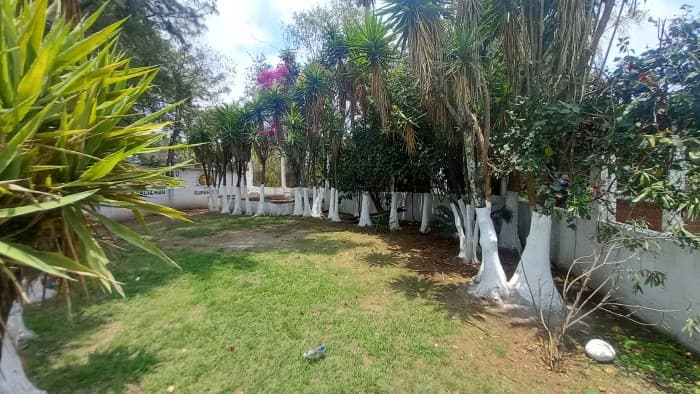 TERRENO EN VENTA Y EN RENTA EN VILLA NUEVA - foto 2