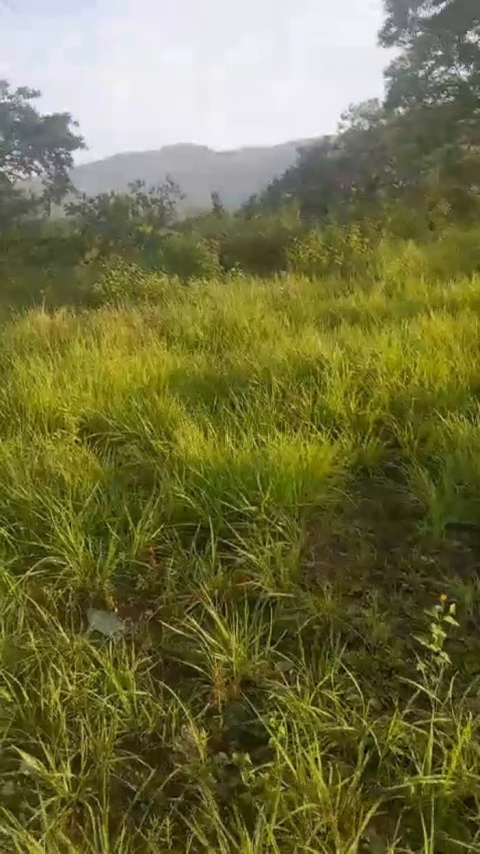 VENTA DE FINCA EN ORATORIO SANTA ROSA - foto 2