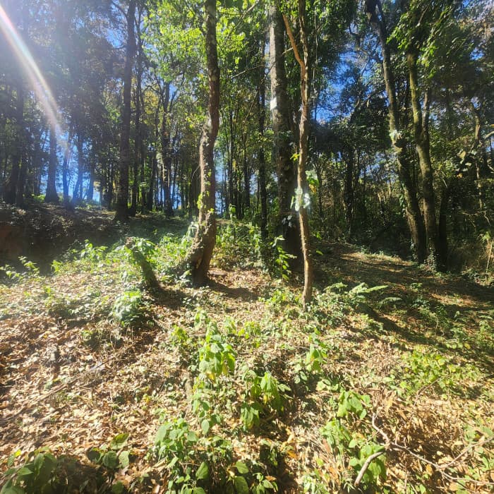 Terreno en venta en San Lucas Sacatepéquez - foto 2