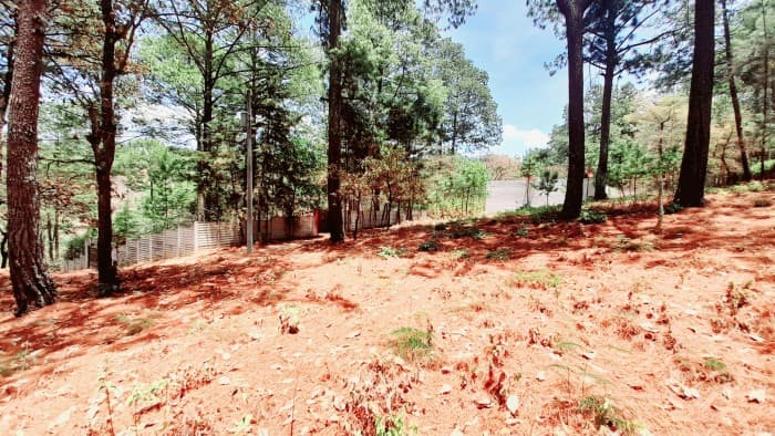 Terreno en Venta en Santo Domingo Xenacoj Sacatepequez - foto 3