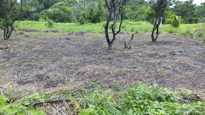 Vendo Terreno en Torre Molinos Escuintla - foto 4
