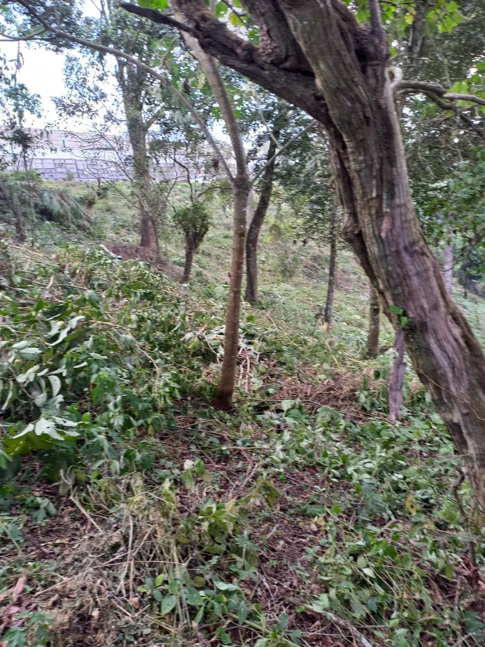Terreno en Venta en Cumbres de San Nicolas CAES - foto 2