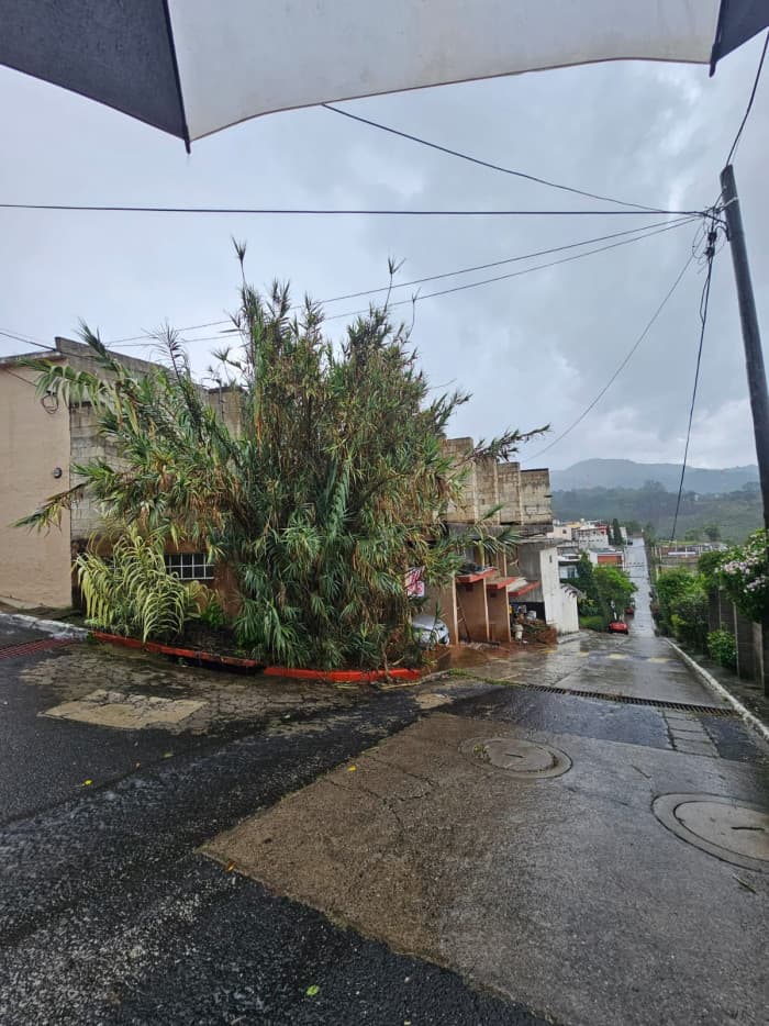 Casa en Venta para Remozar  en Vista Azul, Pinula - foto 3